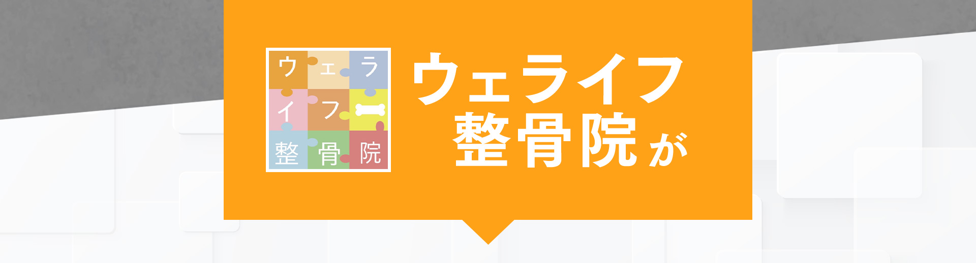 ウェライフ整骨院のご提案