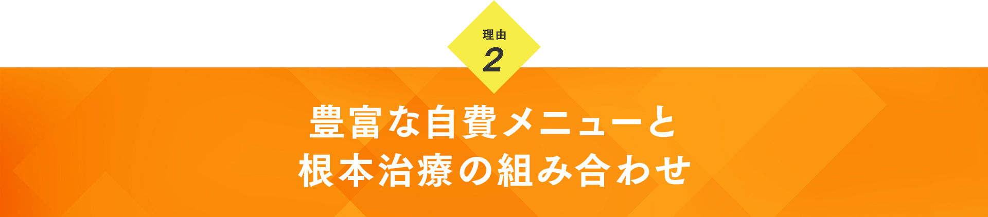 理由2：豊富な自費メニューと根本治療の組み合わせ